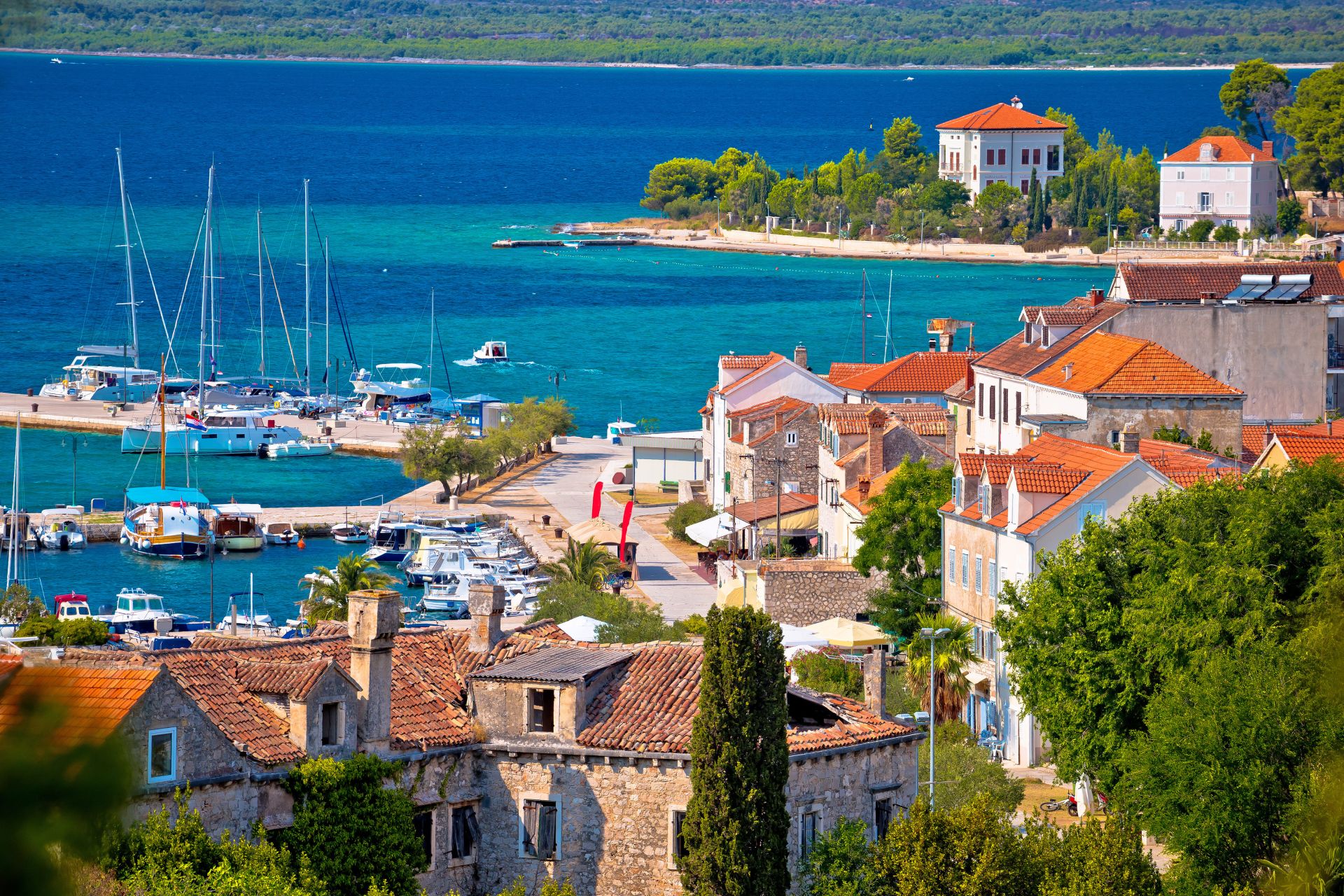 shutterstock_703800151_zlarin.jpg