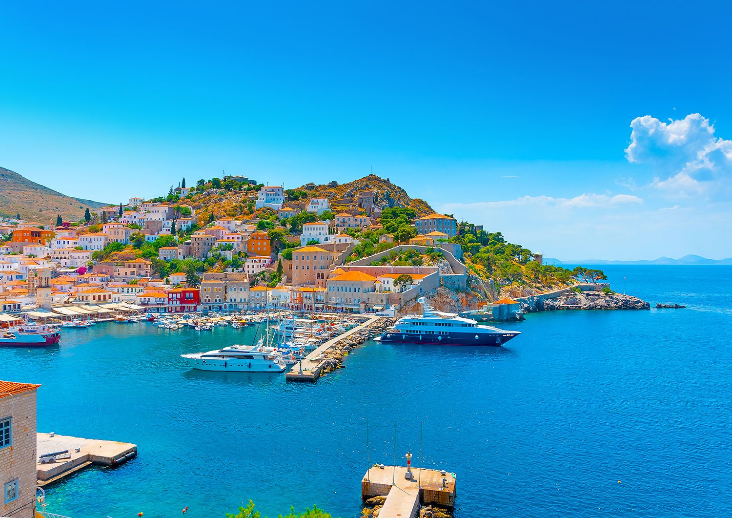hydra-shutterstock_169878686.jpg